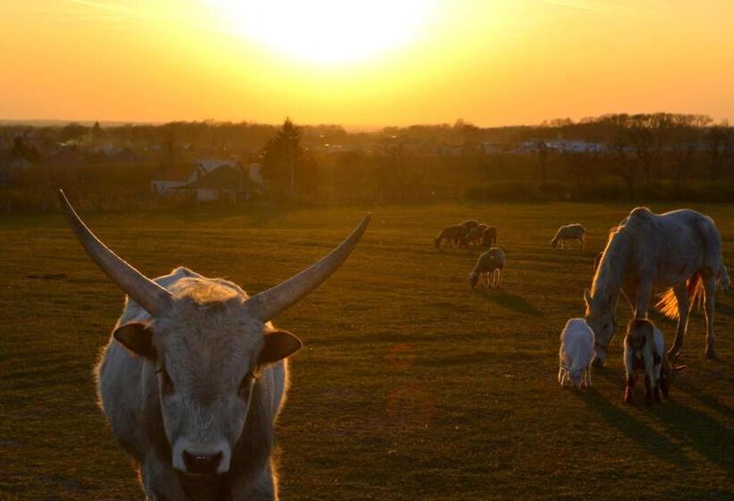 Pensjonat St Peter Vini