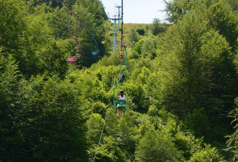 ペンション Teremok Guest House