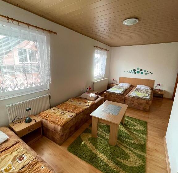 Пансион Ubytovanie Erika