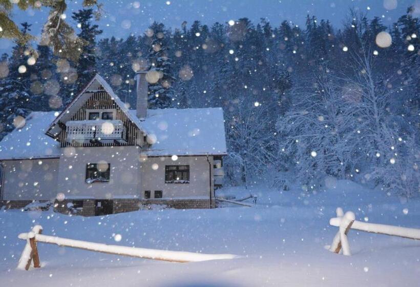 פנסיון Vila Javorinka