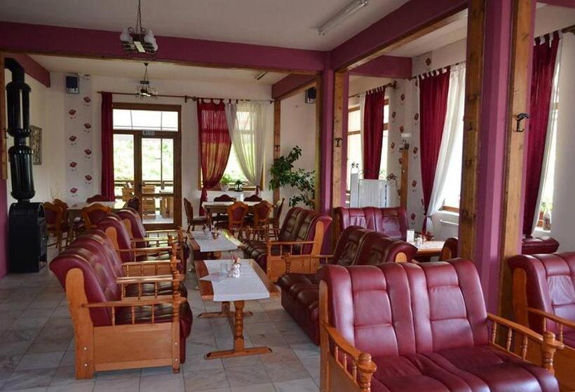 بنسيون Vila Riki