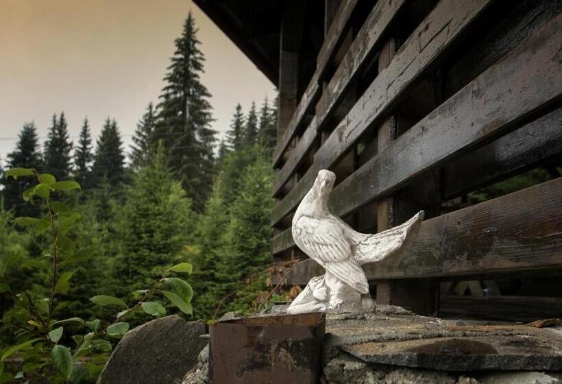 بنسيون Vilele Superski