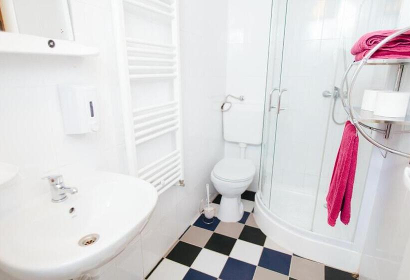 بنسيون Vilele Superski