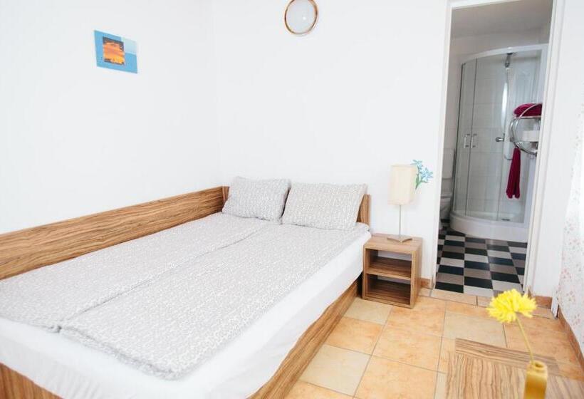 بنسيون Vilele Superski