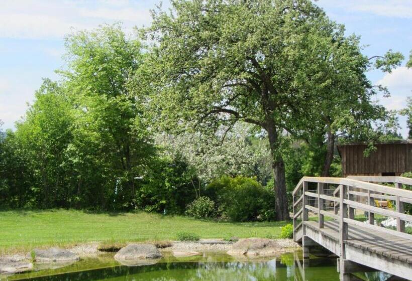 بنسيون Weiss S