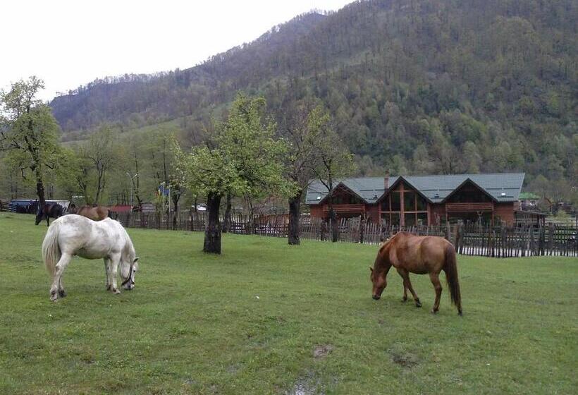Pension Terra Nova