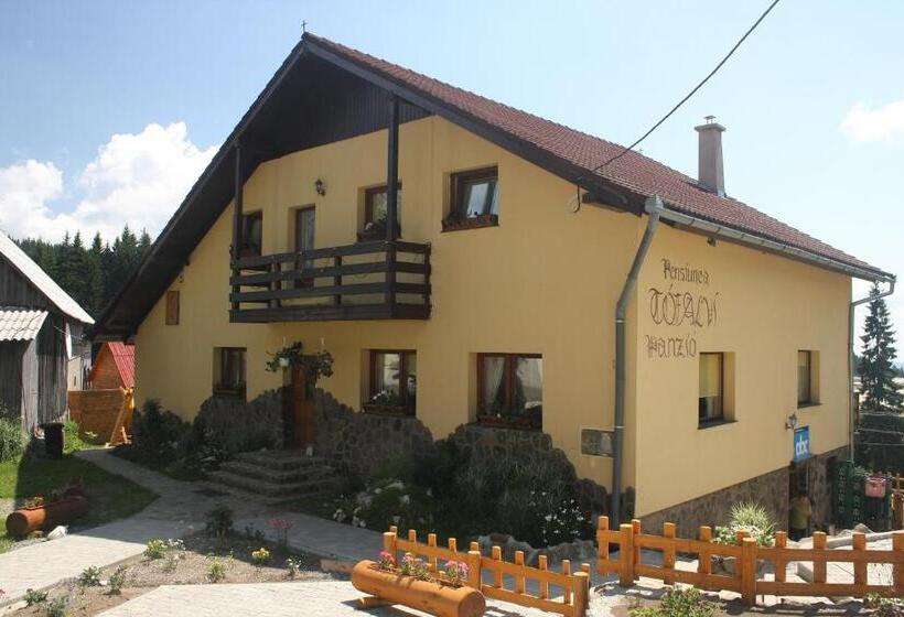 Pension Tofalvi