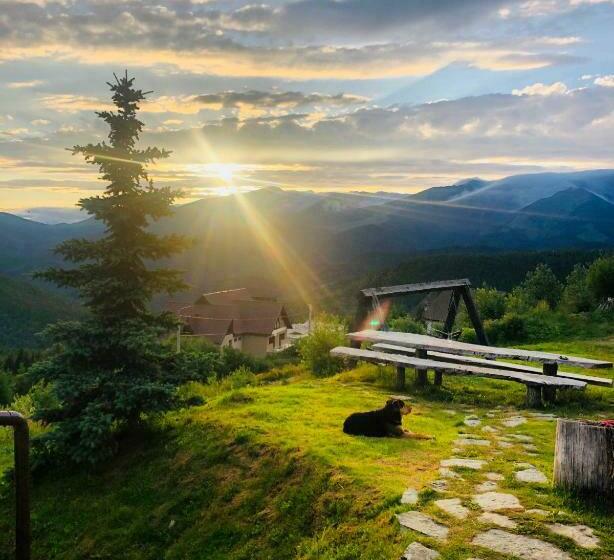 Pensiunea Casa Ancutei