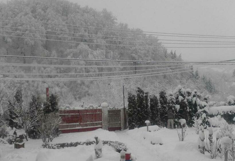 Pensiunea D O R U Arges