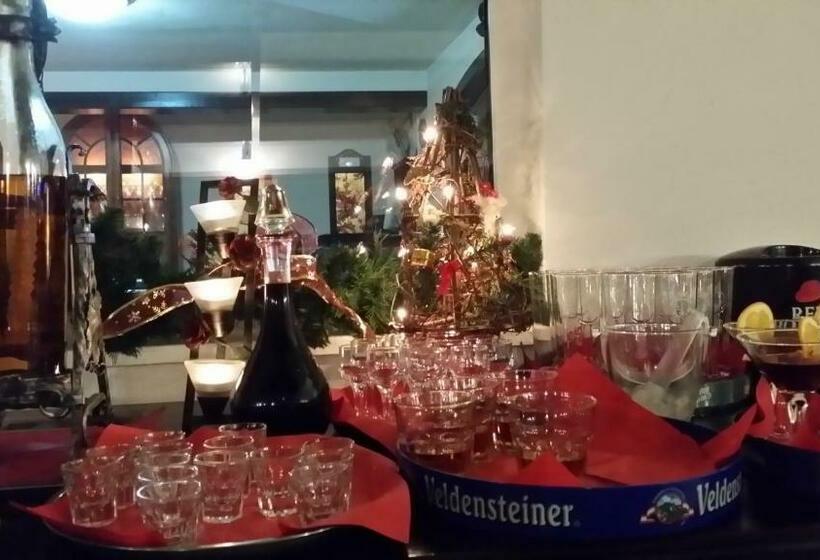 Pensiunea Romantic Belvedere Paltinis