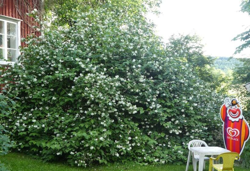 Prästmyren Vandrarhem