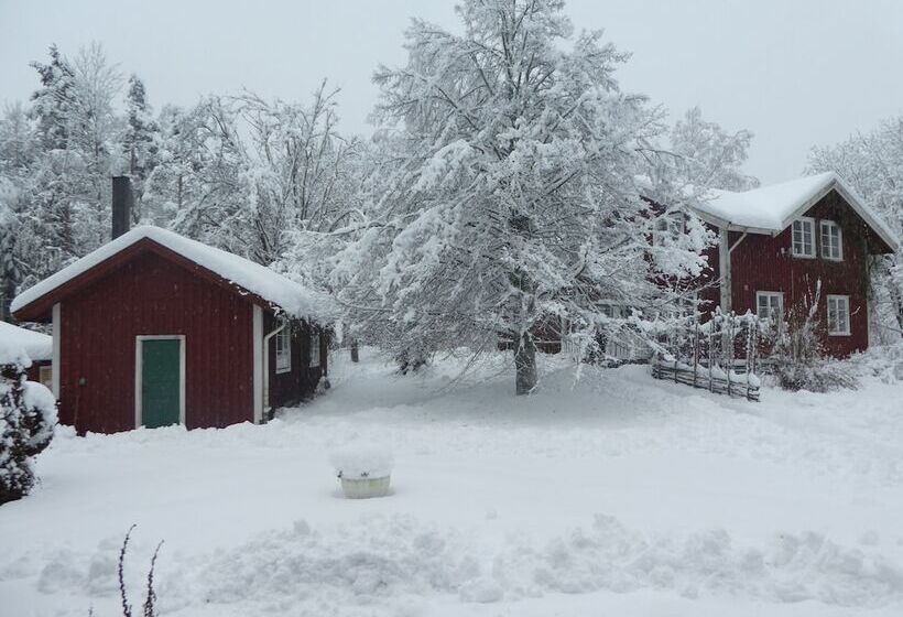 Prästmyren Vandrarhem