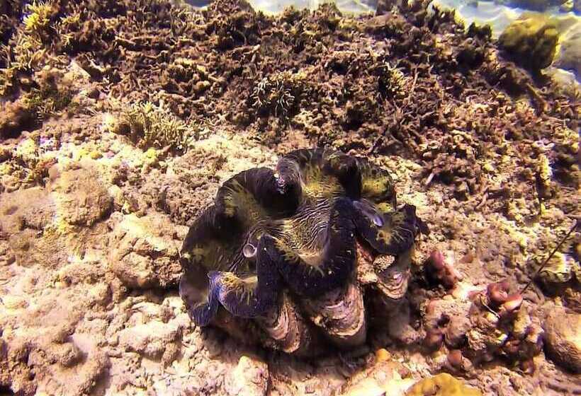 استراحتگاه Casa Amihan