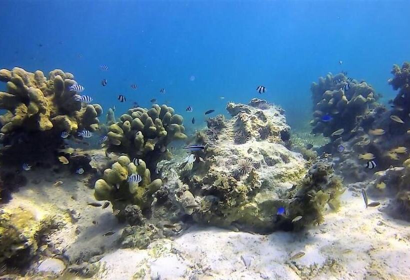 استراحتگاه Casa Amihan