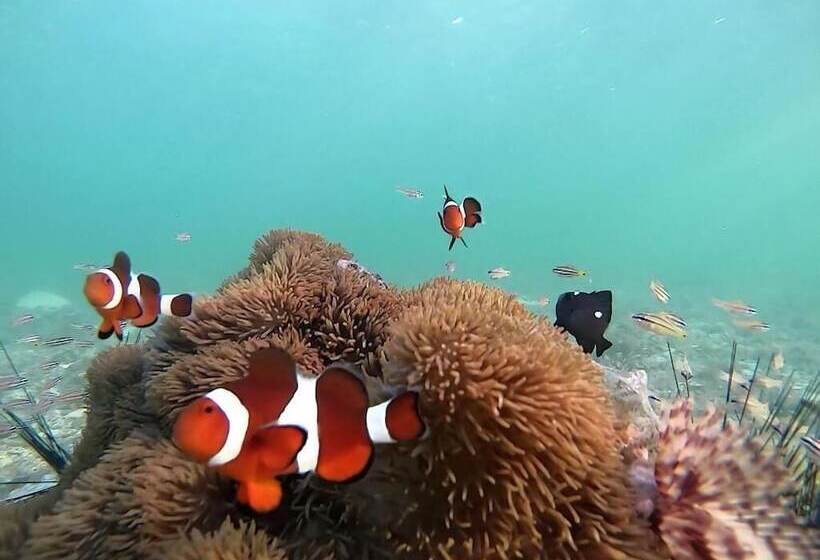 استراحتگاه Casa Amihan