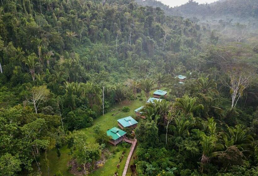 منتجع Jaguar Creek