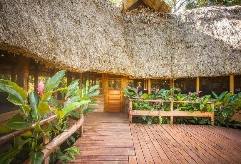 منتجع Jaguar Creek