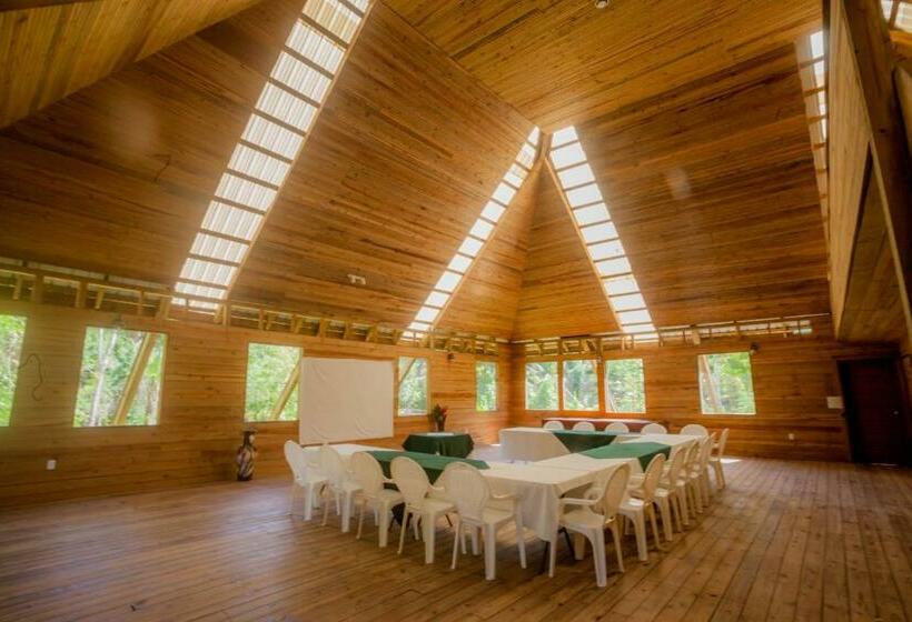 منتجع Jaguar Creek