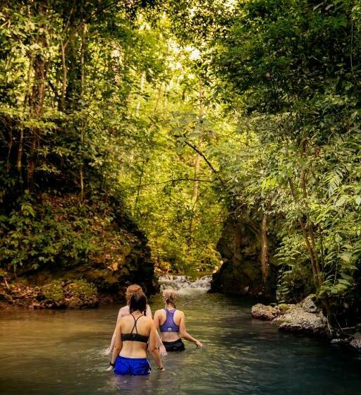 منتجع Jaguar Creek