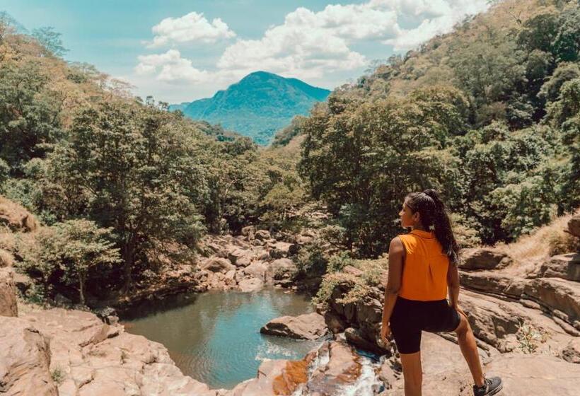 リゾートホテル Mapakada Village   Mahiyanganaya