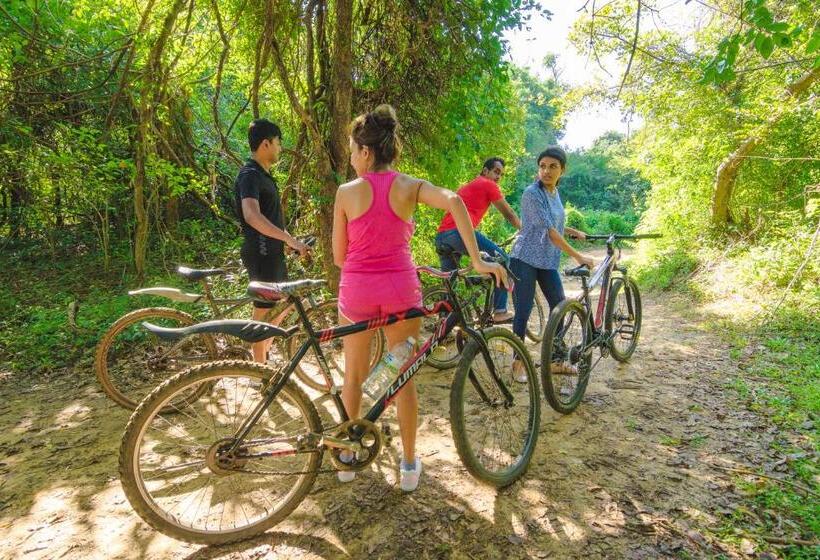 リゾートホテル Mapakada Village   Mahiyanganaya