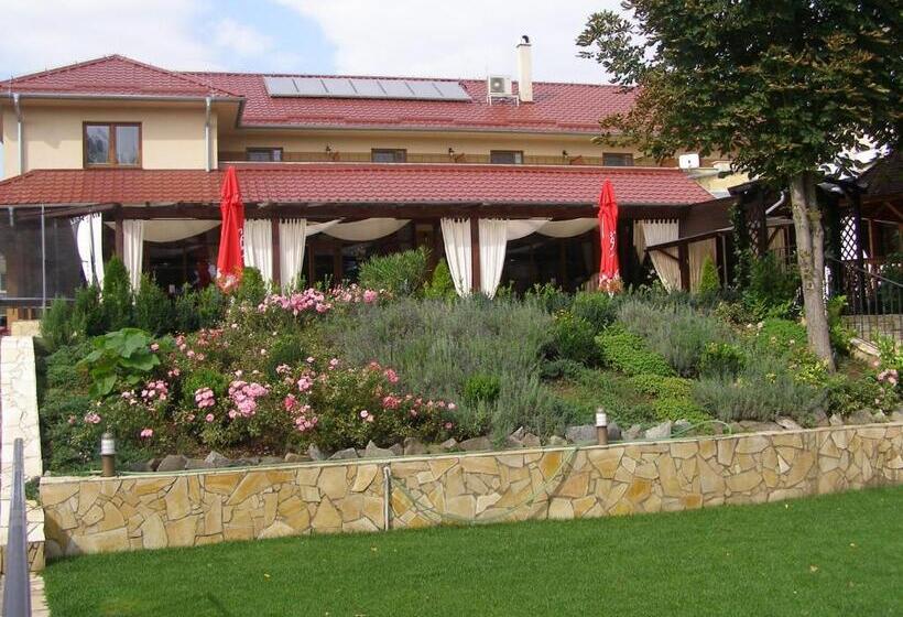 אתר נופש Mlyn Penzion & Wellness