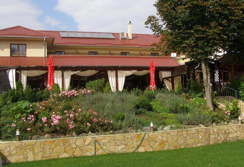منتجع Mlyn Penzion & Wellness