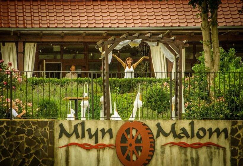 אתר נופש Mlyn Penzion & Wellness