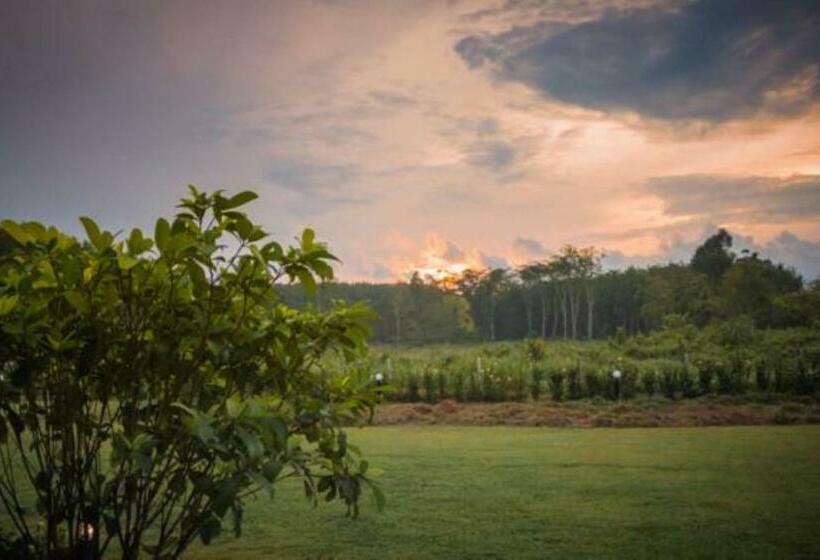 אתר נופש Moonlight Cottage