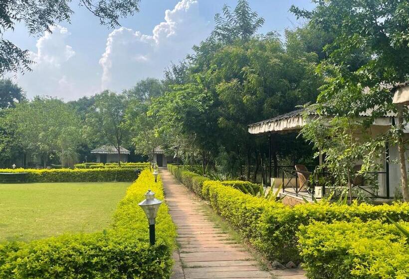 منتجع Sariska Tiger Heaven