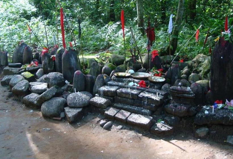 渡假胜地  The Riverwood Forest Retreat Dooars   Fully Vaccinated Staff