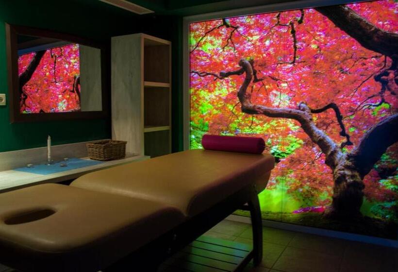 Spa Hotel Ivelia