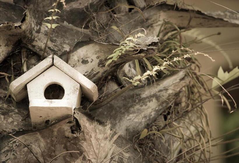 The Natural Garden Resort