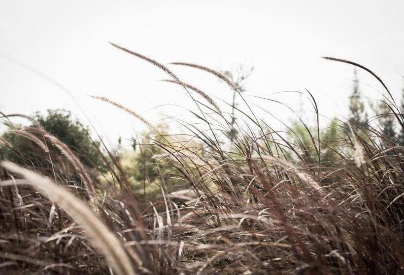 The Natural Garden Resort