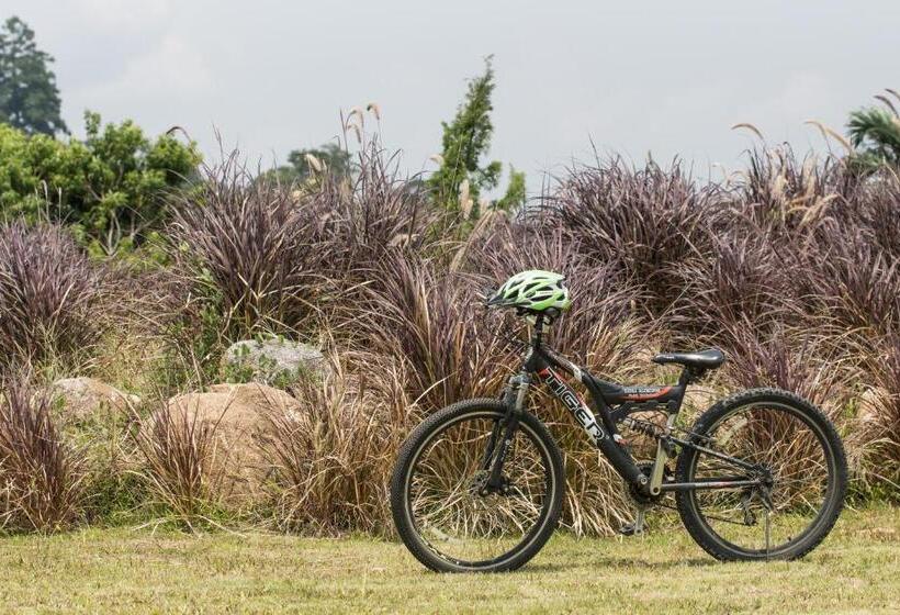 The Natural Garden Resort