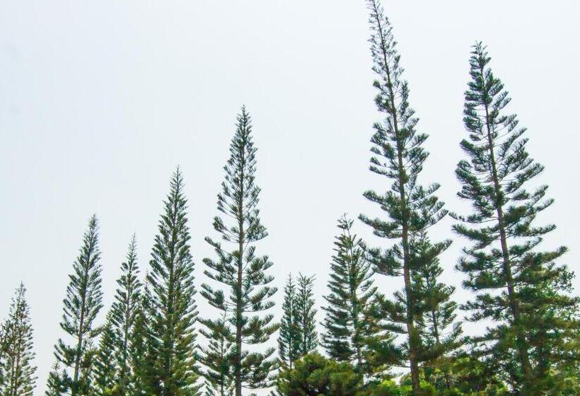 The Natural Garden Resort