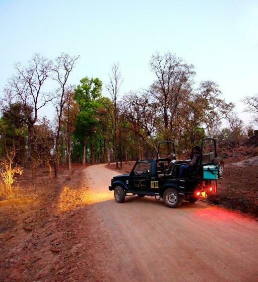 Tuli Tiger Resort