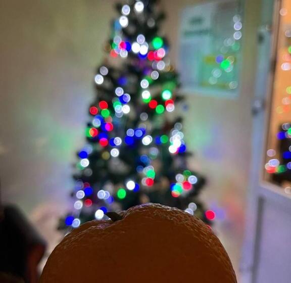 هاستل готель ас берегово