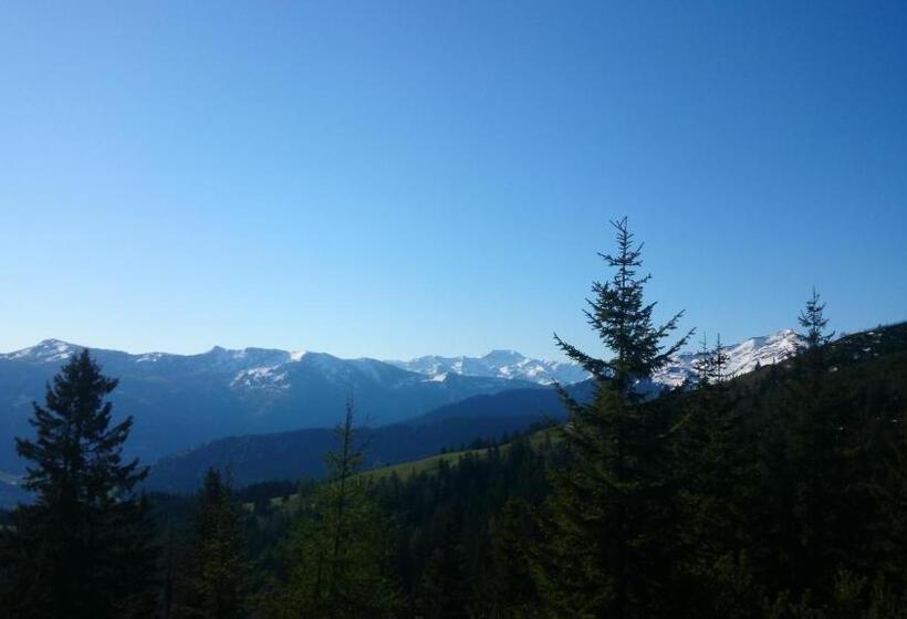 Общежитие Berggasthof Schatzbergalm
