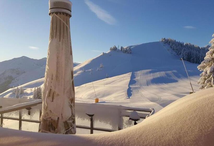 Общежитие Berggasthof Schatzbergalm