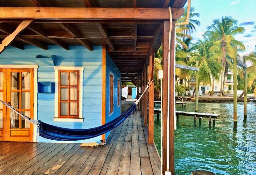 הוסטל Casa Acuario Boutique