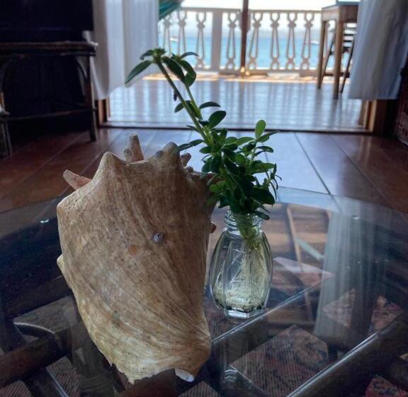 הוסטל Casa Acuario Boutique