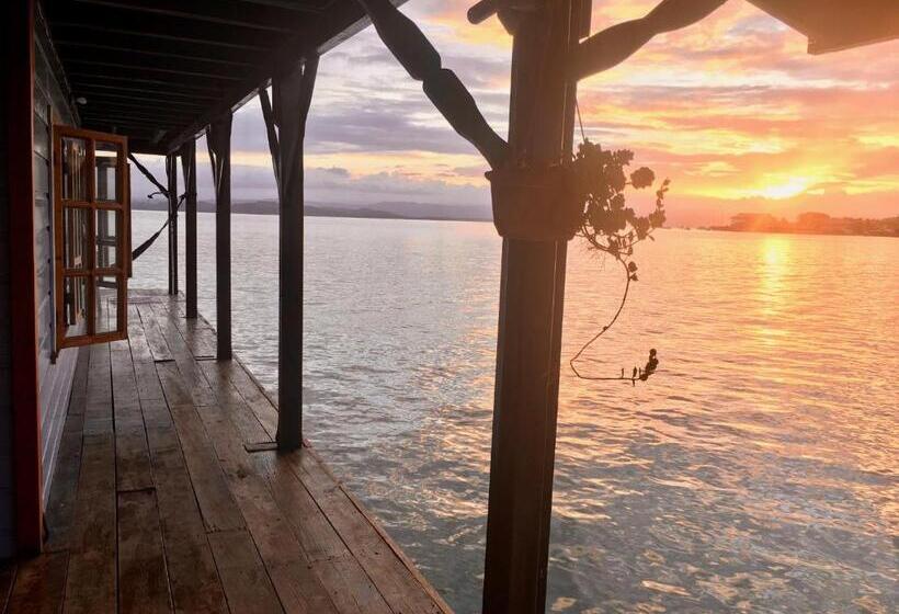 הוסטל Casa Acuario Boutique