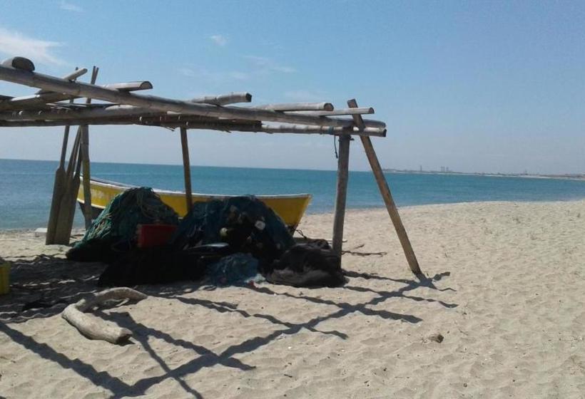 هاستل Casa Kokopelli