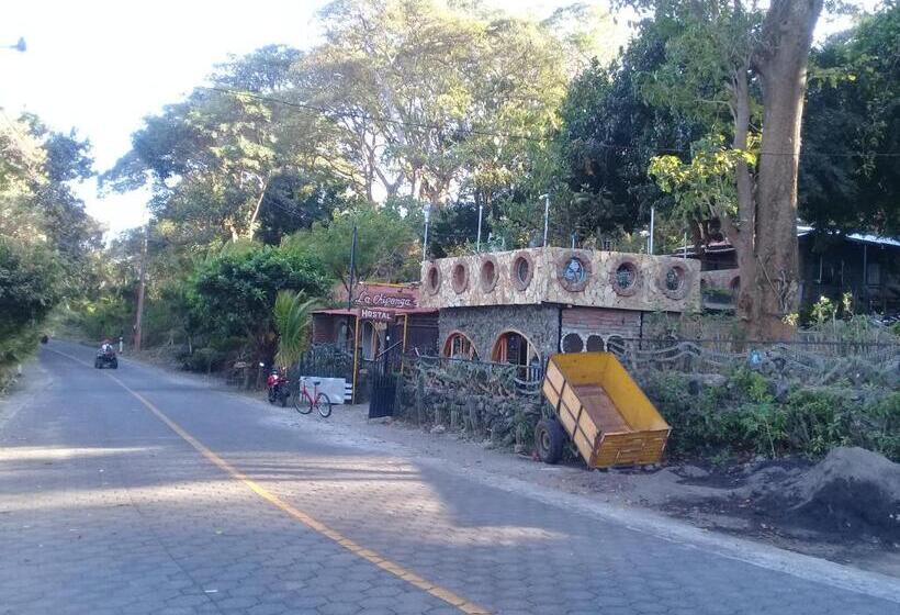 فندق صغير Hostal Eco Lodge La Chiponga