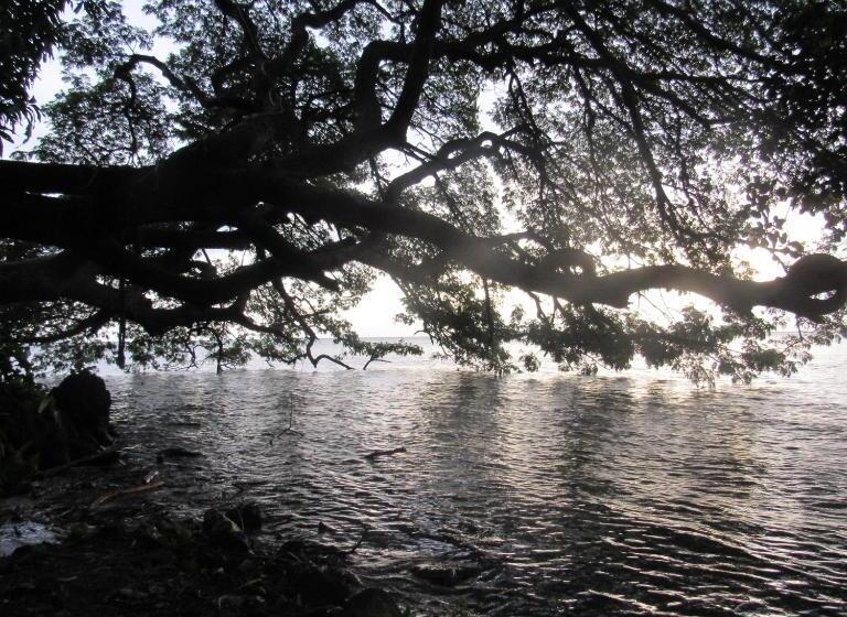 فندق صغير Hostal Eco Lodge La Chiponga