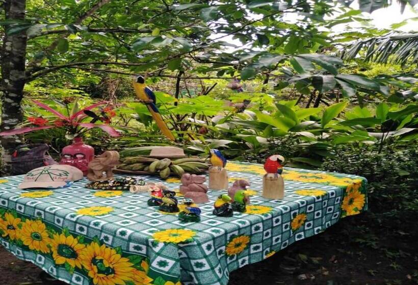 فندق صغير Hostal Familiar El ángel Panamá B&b