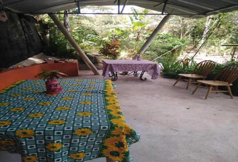 فندق صغير Hostal Familiar El ángel Panamá B&b