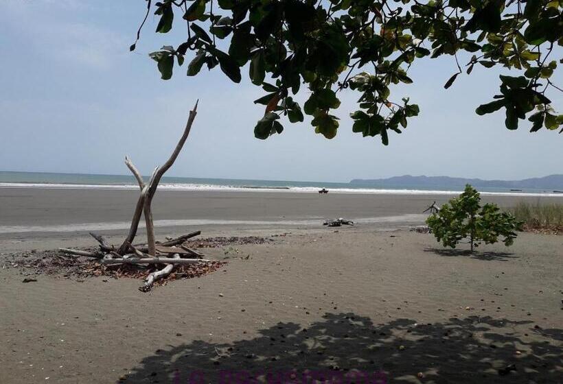 فندق صغير Hostal Pachamama