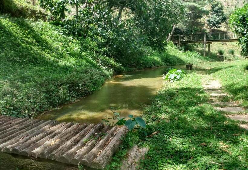 ユースホステル Pousada Recanto Lisieux